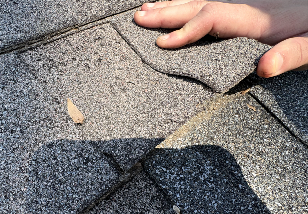 Hand lifting a loose asphalt shingle tab showing failed sealant